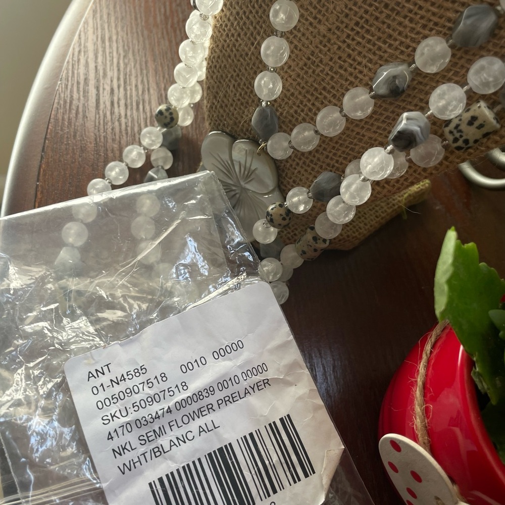 Elegant Anthropology Silver Beaded Necklace - Picture 3 of 5